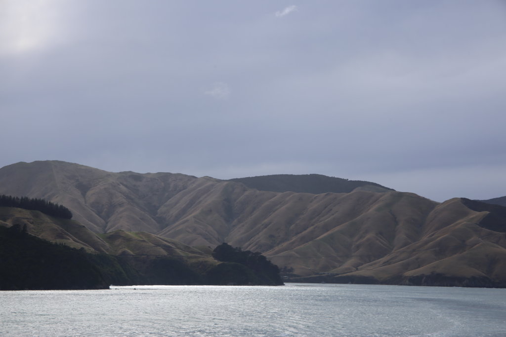 Go Holidate - Neuseeland Reiseblog