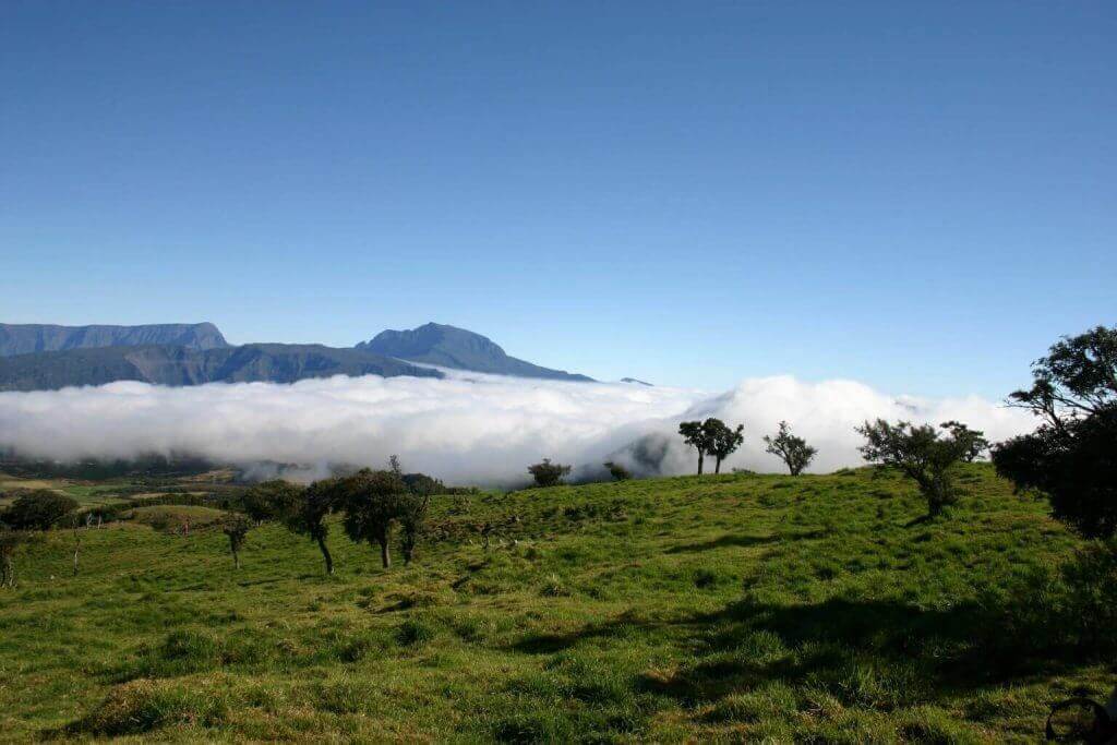 la-reunion-Aktivurlaub-fuer-gays-Foret de Bebour-sued-ost-kueste-und-seychellen-reise-inselkombi la-reunion-Aktivurlaub-fuer-gays-Foret de Bebour-sued-ost-kueste-und-seychellen-reise-inselkombi