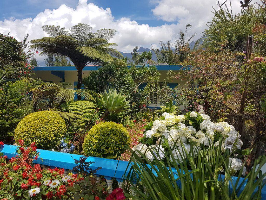 schwuler-urlaub-La-reunion-indischer-ozean-honeymoon-mietwagenrundreise-planen-individuell-inselkombination-seychellen-la-reunion schwuler-urlaub-La-reunion-indischer-ozean-honeymoon-mietwagenrundreise-planen-individuell-inselkombination-seychellen-la-reunion