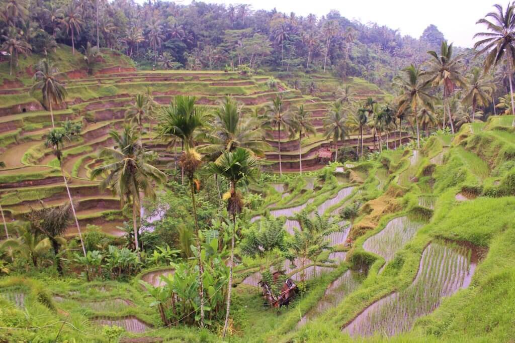 gay-urlaub-bali-schwul-reisen-indonesien-entdecken-individuelle-rundreise-planen-massgeschneidert-asien-reisespezialist gay-urlaub-bali-schwul-reisen-indonesien-entdecken-individuelle-rundreise-planen-massgeschneidert-asien-reisespezialist