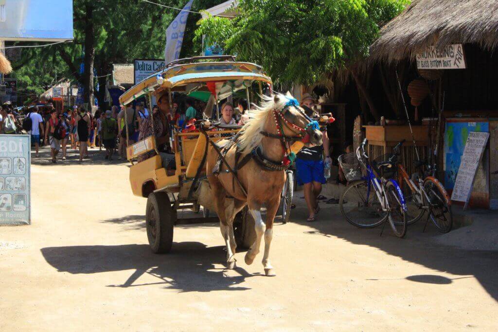 aktivreise-gay-indonesien-bali-unterwegs-mit-maennern-rundreise-bali-planen-mit-reiseplaner-fotos-indonesien-reisetipps-reiseexperte-indonesien aktivreise-gay-indonesien-bali-unterwegs-mit-maennern-rundreise-bali-planen-mit-reiseplaner-fotos-indonesien-reisetipps-reiseexperte-indonesien