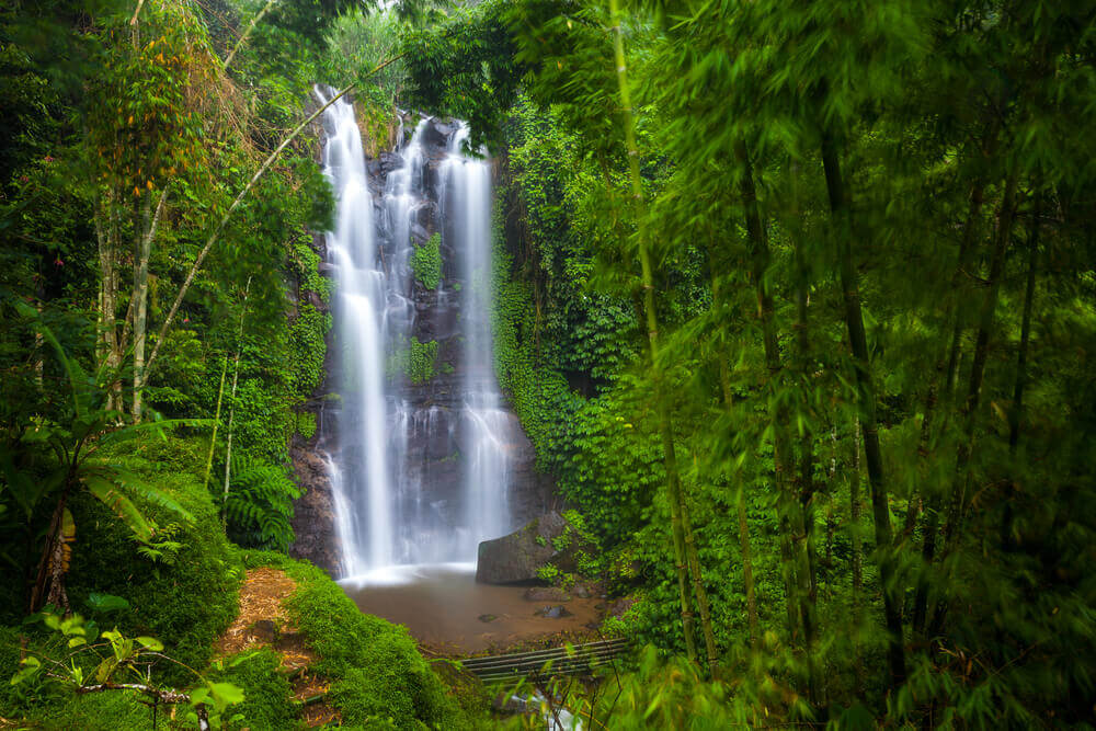 bali-gay-lesbisch-frauen-unterwegs-asien-lesben-urlaub-wellness-auf-bali-ubud-inland-reise-planen-reisebüro bali-gay-lesbisch-frauen-unterwegs-asien-lesben-urlaub-wellness-auf-bali-ubud-inland-reise-planen-reisebüro