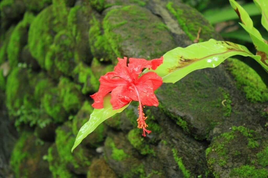 gay-rundreise-bali-schwul-reisen-indonesien-reise-reisespezialist gay-rundreise-bali-schwul-reisen-indonesien-reise-reisespezialist