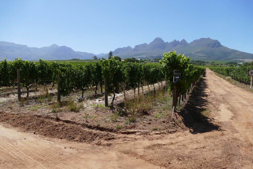 mietwagen-rundreisen-gayfriendly-gruppenreise-suedafrika-unterwegs-luxusreise-fuer-gay-genussurlaub-stellenbosch mietwagen-rundreisen-gayfriendly-gruppenreise-suedafrika-unterwegs-luxusreise-fuer-gay-genussurlaub-stellenbosch