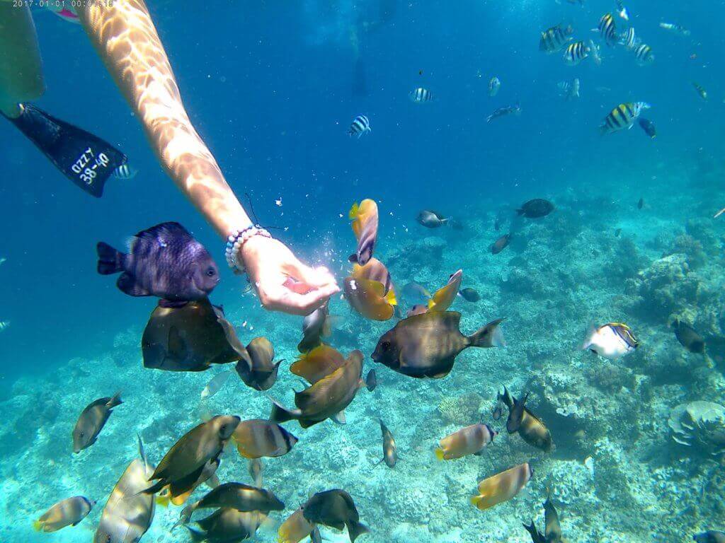 urlaub-fuer-schwule-asien-tauchen-auf-bali-gilli-islands-gay-reiseveranstalter-reisespezialist-urlaub-indonesien-planen urlaub-fuer-schwule-asien-tauchen-auf-bali-gilli-islands-gay-reiseveranstalter-reisespezialist-urlaub-indonesien-planen