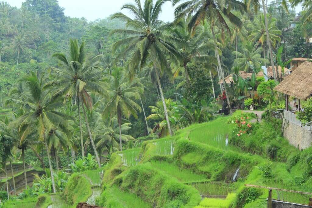bali-gay-urlaub-schwule-maenner-asien-reiseplaner-tour-planen-massgeschneidert-rundreise bali-gay-urlaub-schwule-maenner-asien-reiseplaner-tour-planen-massgeschneidert-rundreise
