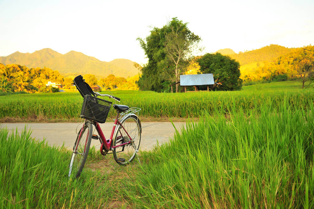lesbisch-reisen-urlaub-fuer-frauen-eat-pray-love-reisefelder-fahrrad-reise-filmtourismus-rundreise-bali-planen lesbisch-reisen-urlaub-fuer-frauen-eat-pray-love-reisefelder-fahrrad-reise-filmtourismus-rundreise-bali-planen