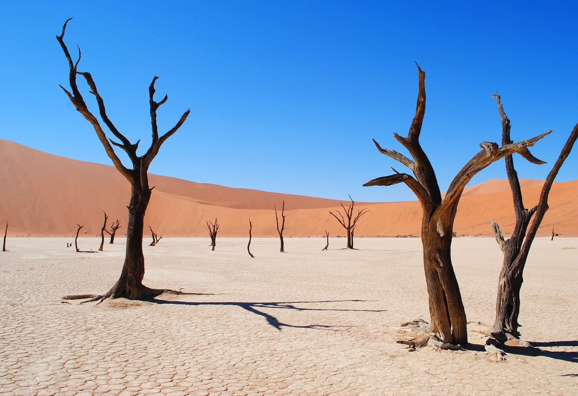 namibia-Gay-urlaub-namib-wueste-afrika-unterwegs-fuer-schwule namibia-Gay-urlaub-namib-wueste-afrika-unterwegs-fuer-schwule