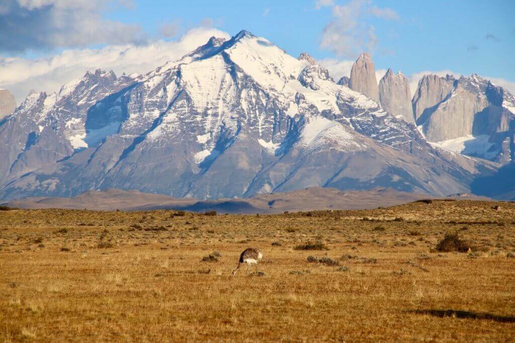 gay-chile-suedamerika-chilereise-schwul-torres-del-paine-organisiert-gay-aktivreise-patagonien gay-chile-suedamerika-chilereise-schwul-torres-del-paine-organisiert-gay-aktivreise-patagonien