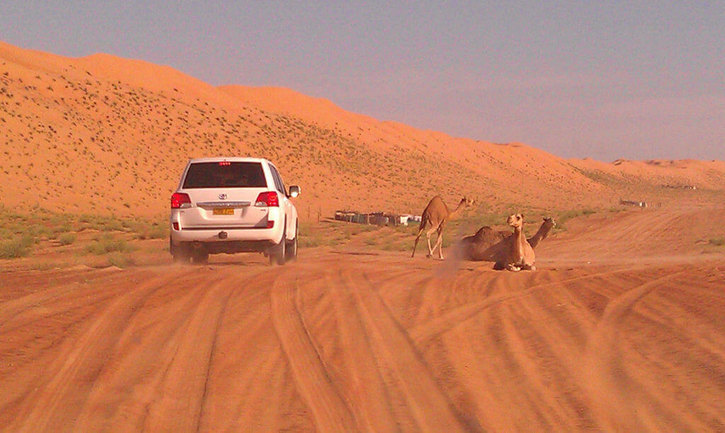 gay-reise-oman-unterwegs-mit-maennern-mietwagen-rundreise-planen-reisespezialist gay-reise-oman-unterwegs-mit-maennern-mietwagen-rundreise-planen-reisespezialist