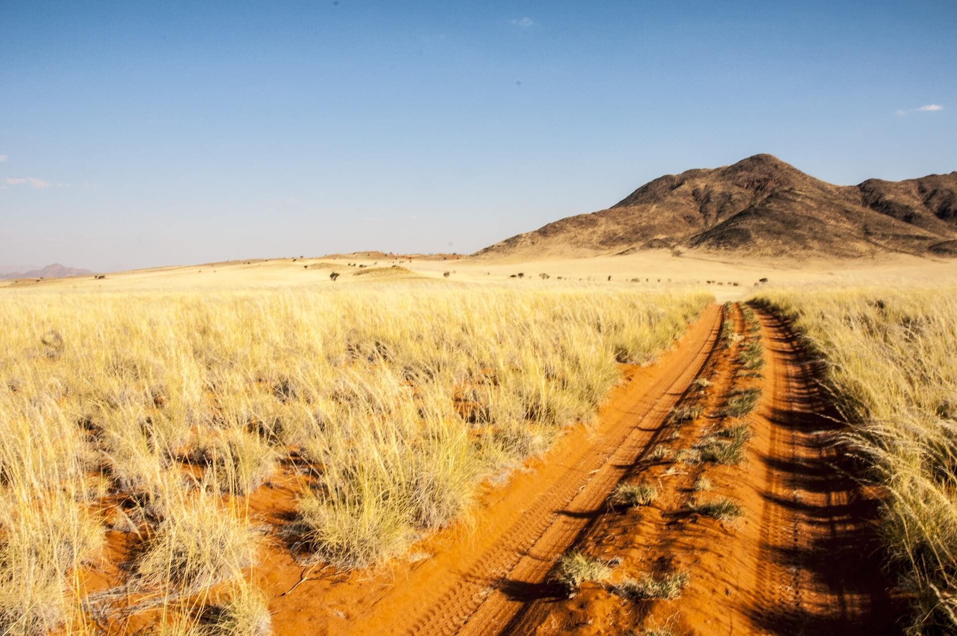 schwul-reisen-gay-reisen-in-namibia-lesben-unterwegs-afrika-gruppenreise-fuer-schwule-lesben-reisen-reiseplaner schwul-reisen-gay-reisen-in-namibia-lesben-unterwegs-afrika-gruppenreise-fuer-schwule-lesben-reisen-reiseplaner