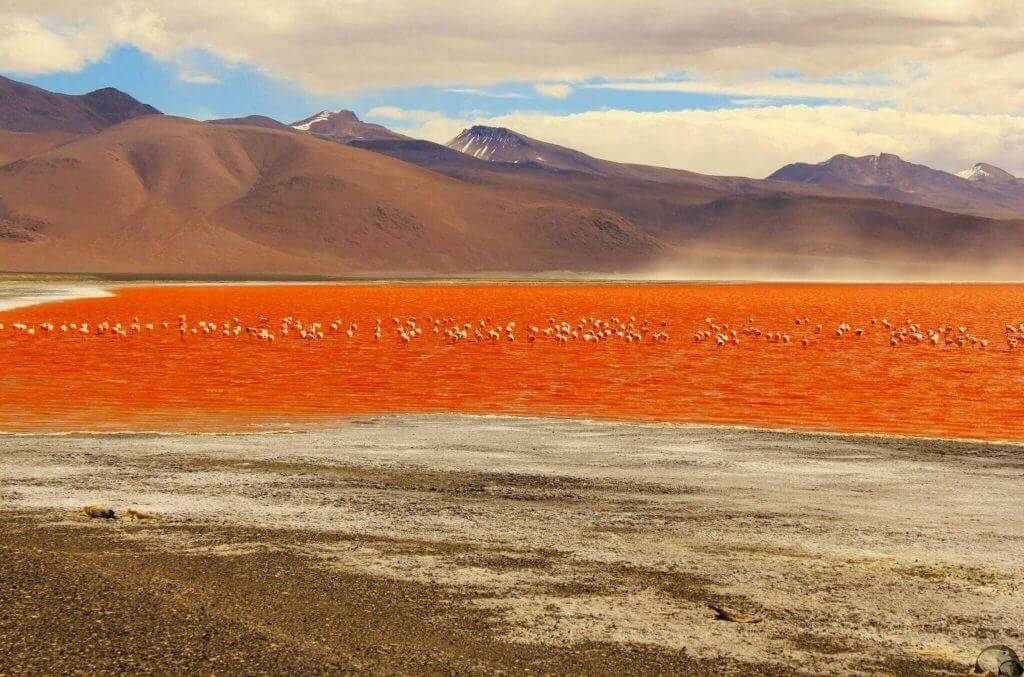 bolivien-gay-reise-buchen-laguna-colorada-schwul-urlaub-reisespezialist-suedamerika-rundreise bolivien-gay-reise-buchen-laguna-colorada-schwul-urlaub-reisespezialist-suedamerika-rundreise