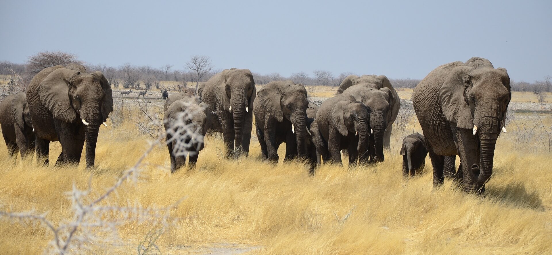 gay-urlaub-safaris-afrika-schwule-reise-planen-individuelle-mietwagenrundreise-planen-reisespezialist-namibia gay-urlaub-safaris-afrika-schwule-reise-planen-individuelle-mietwagenrundreise-planen-reisespezialist-namibia