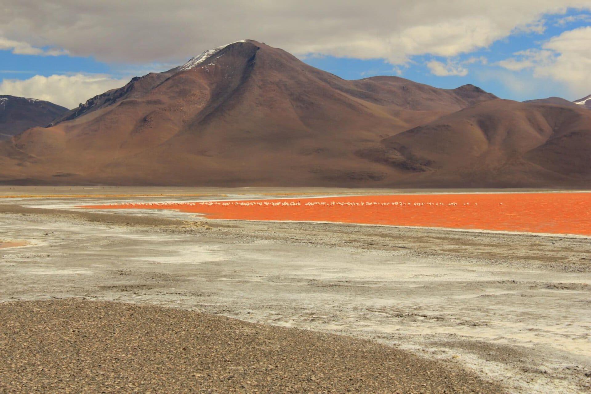 schwul-reisen-suedamerika-bolivien-hochland-lagunen-altiplano-kombi-chile-peru-rundreise-buchen-suedamerika schwul-reisen-suedamerika-bolivien-hochland-lagunen-altiplano-kombi-chile-peru-rundreise-buchen-suedamerika