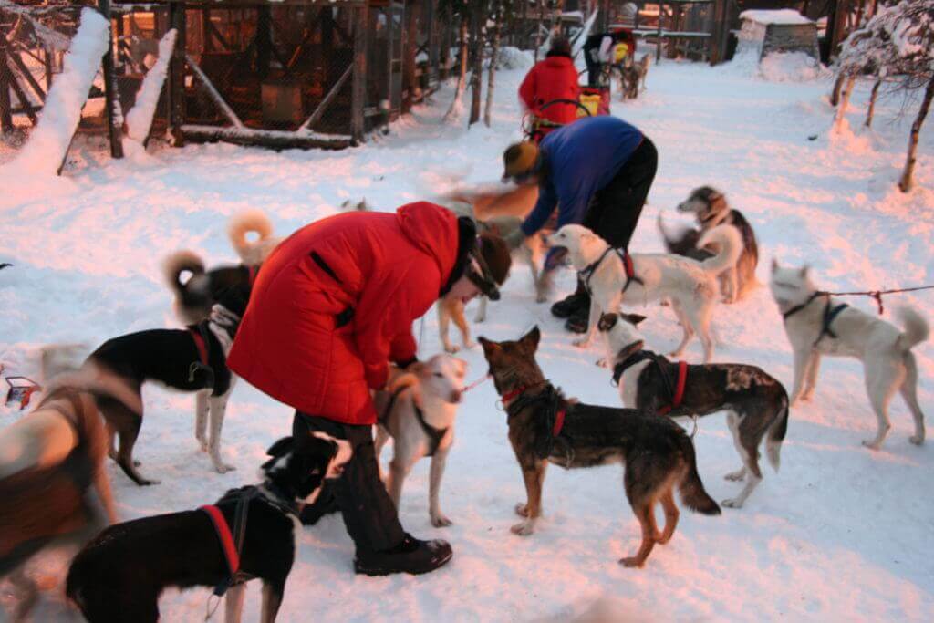 gay-aktivreise-finnland-hundschlittentour-lesbisch-reisen-lgbti-wintertour-lappland-aktive-reise-gay-gruppenreise gay-aktivreise-finnland-hundschlittentour-lesbisch-reisen-lgbti-wintertour-lappland-aktive-reise-gay-gruppenreise