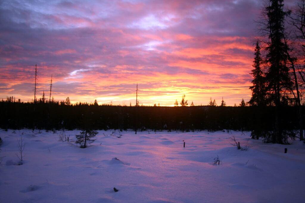 gay-aktiv-reise-lappland-im-winter-mit hundeschlitten-lesbisch-reisen-abendliche-stimmung gay-aktiv-reise-lappland-im-winter-mit hundeschlitten-lesbisch-reisen-abendliche-stimmung