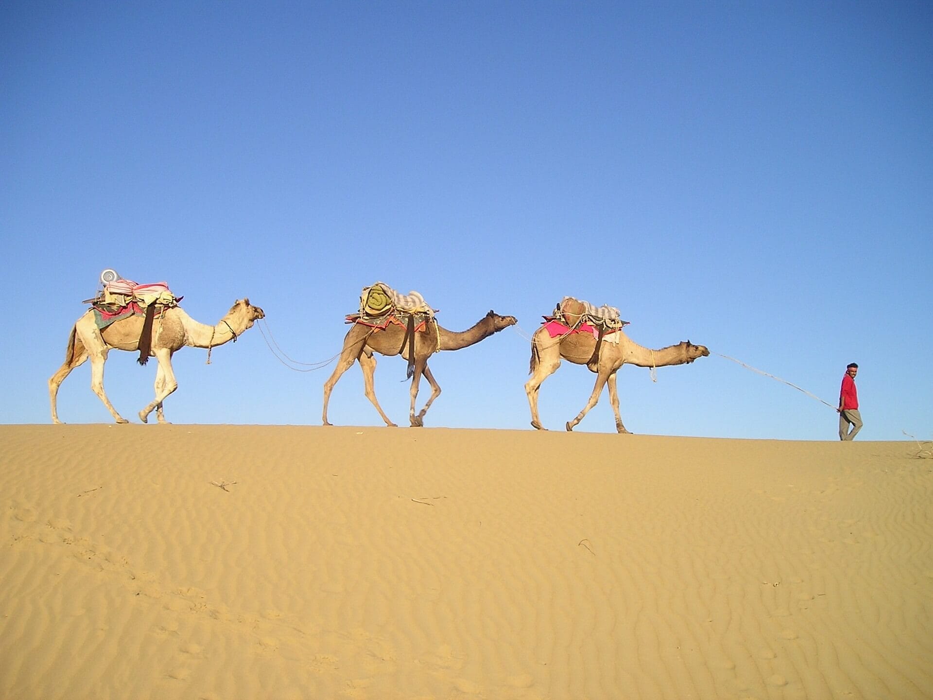 indien-individuell-reise-gay-schwulen-urlaub-buchen-rajasthan-reisespezialist-fuer-indien indien-individuell-reise-gay-schwulen-urlaub-buchen-rajasthan-reisespezialist-fuer-indien