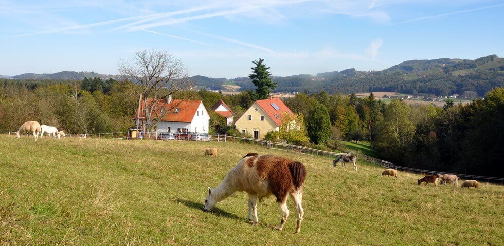 weiberhof-reise-lesbisch-hotel-alm-fuer-frauen-oesterreich weiberhof-reise-lesbisch-hotel-alm-fuer-frauen-oesterreich