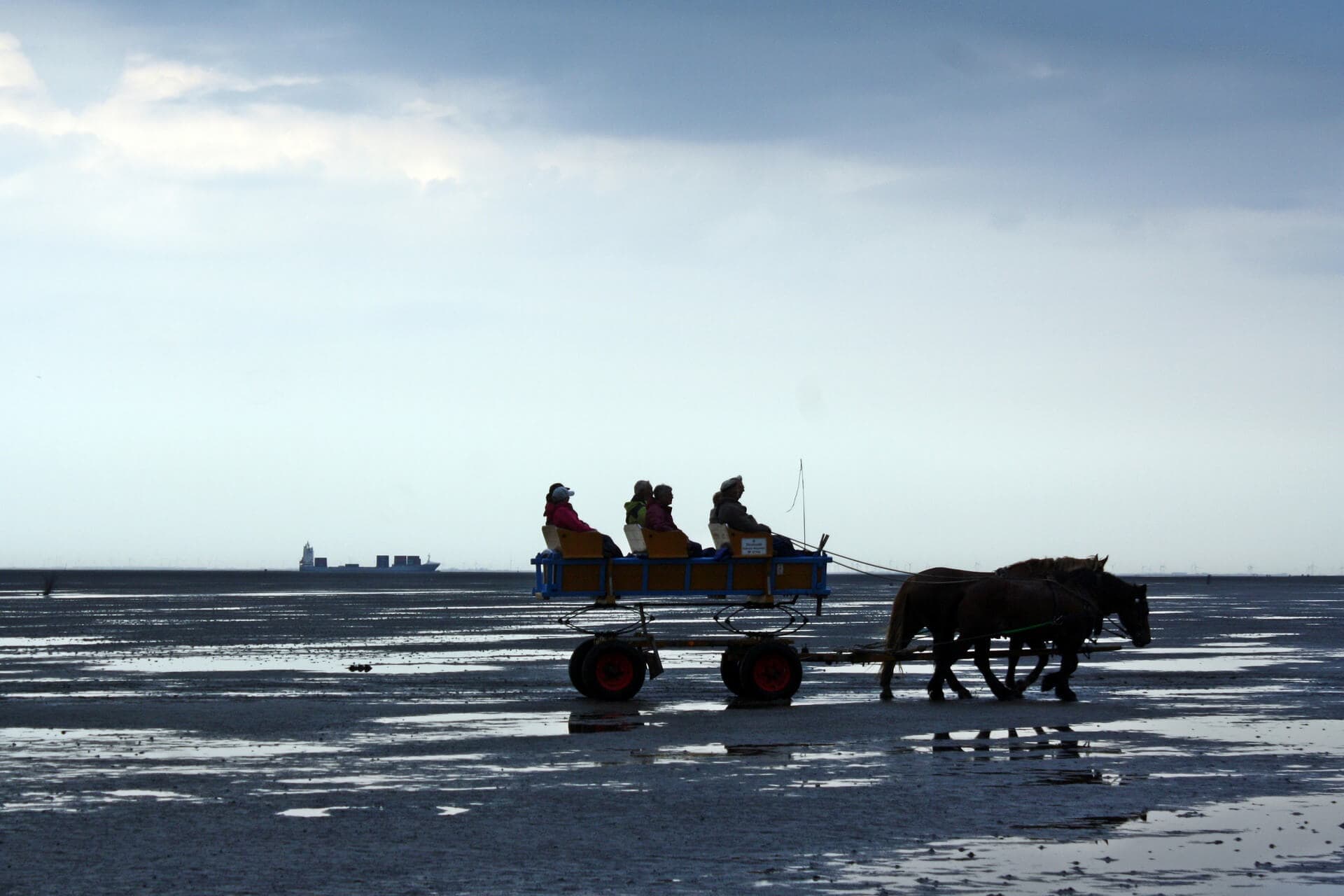 gay-grupenreise-deutschland-nordsee-schwule-reise gay-grupenreise-deutschland-nordsee-schwule-reise