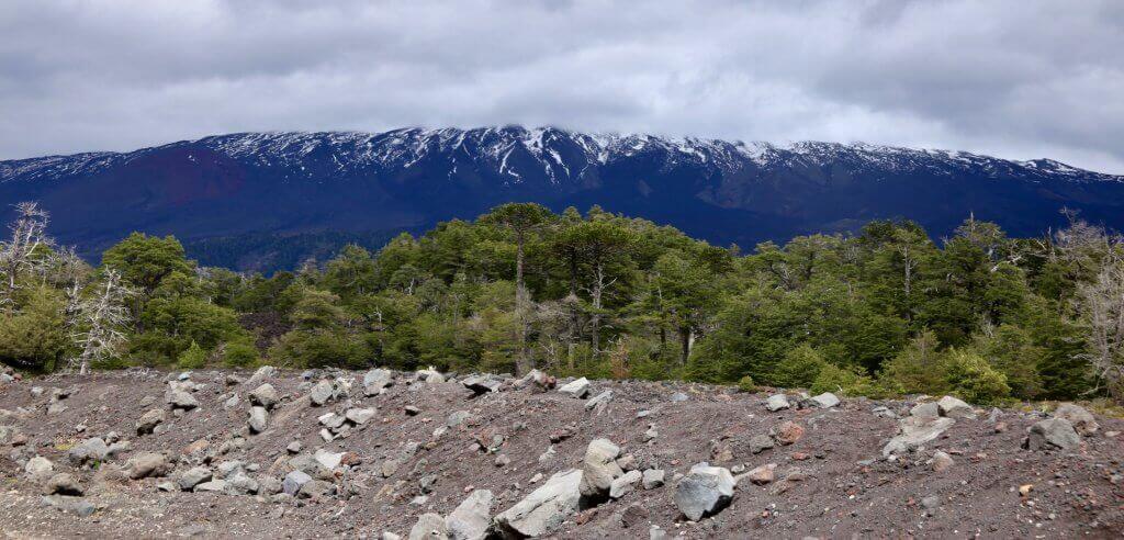 chile-lgbt-suedamerika-gay-reise-wanderreise-temuco-rundreise-roadtrip-anden-reiseidee-chile-reiseblog-schwul-gay-reisen-reiseidee chile-lgbt-suedamerika-gay-reise-wanderreise-temuco-rundreise-roadtrip-anden-reiseidee-chile-reiseblog-schwul-gay-reisen-reiseidee