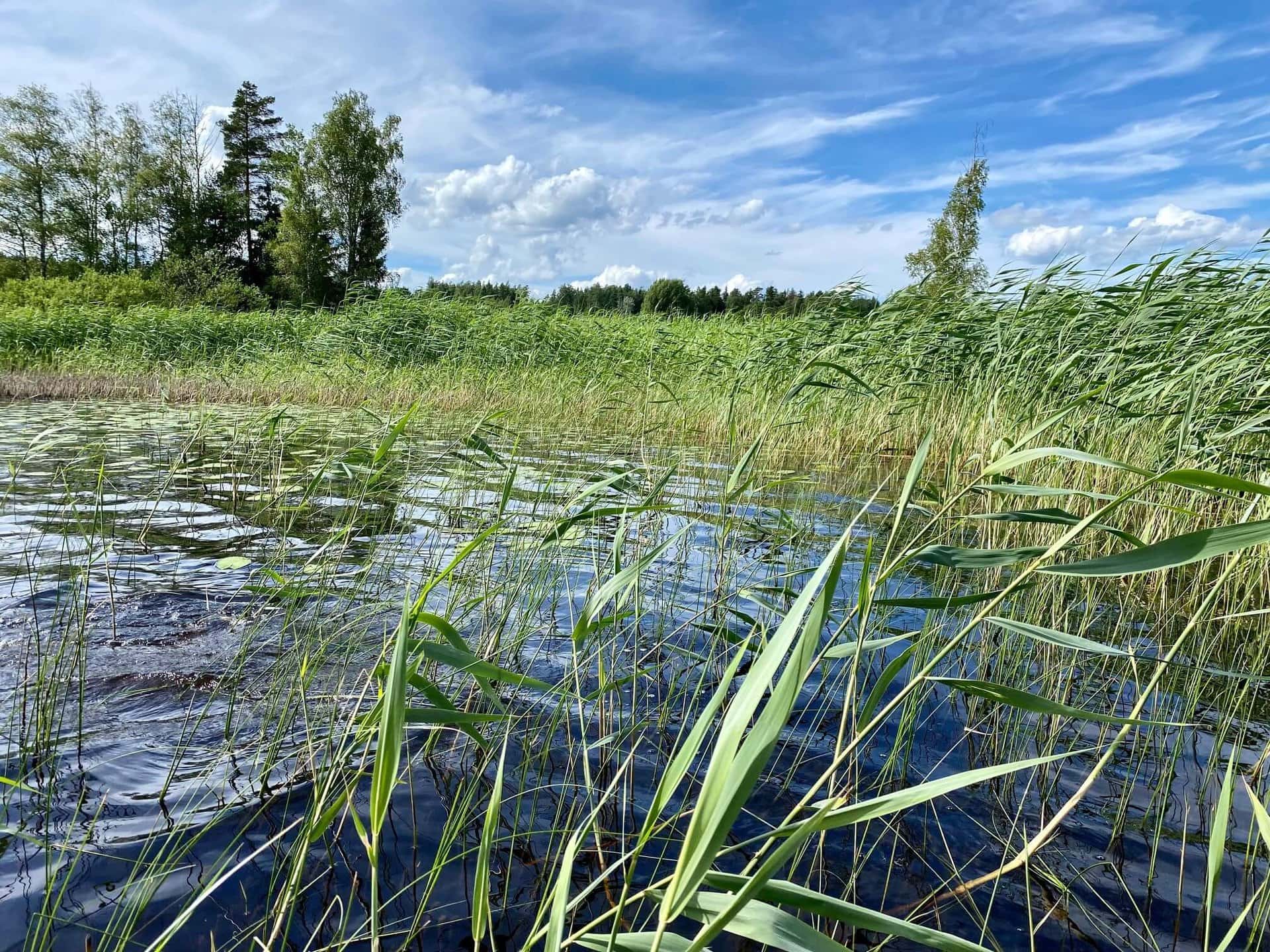 nordeuropa-gay-urlaub-skandinavien-finnland nordeuropa-gay-urlaub-skandinavien-finnland