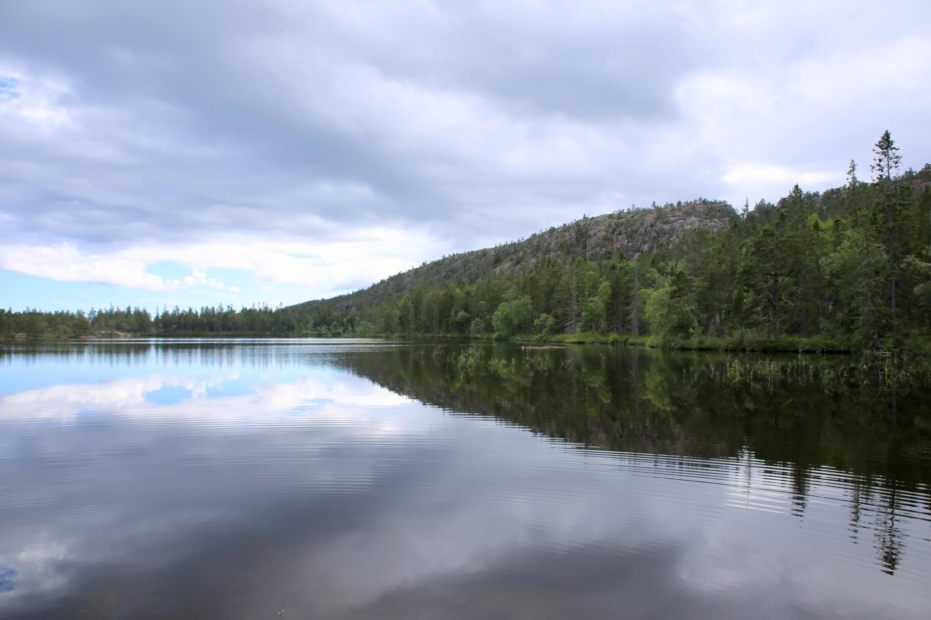 gay-reise-hohe-kueste-schweden gay-reise-hohe-kueste-schweden