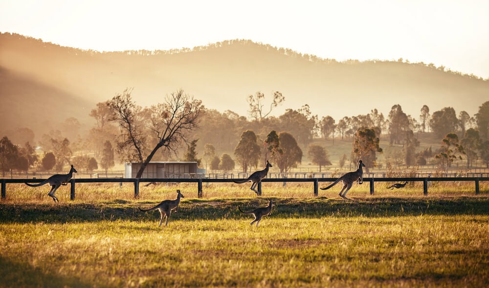 sydney-pride-lgbtq-reise-hunter-valley sydney-pride-lgbtq-reise-hunter-valley