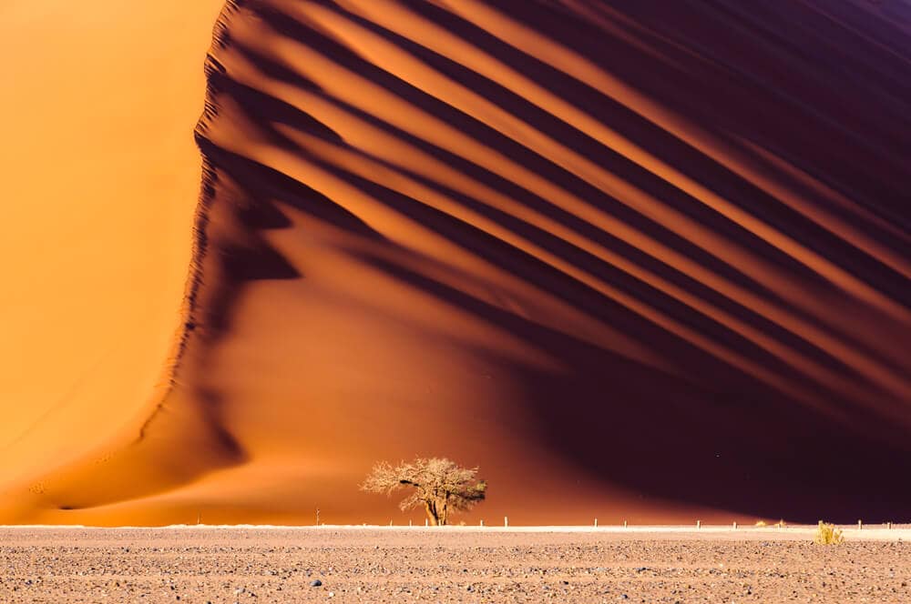 namibia-gay-gruppenreise-fuer-schwule-maenner-namib namibia-gay-gruppenreise-fuer-schwule-maenner-namib