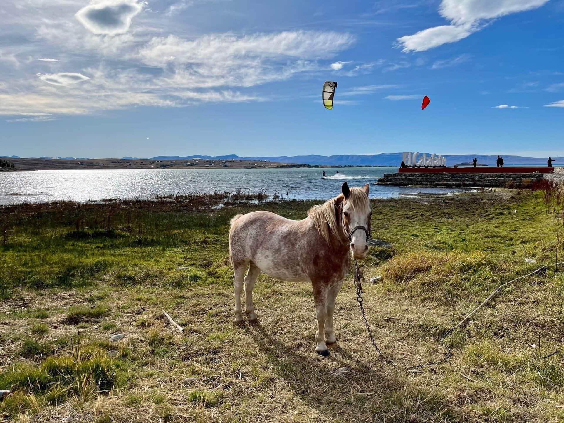 gay-gruppenreise-calafate-argentinien gay-gruppenreise-calafate-argentinien