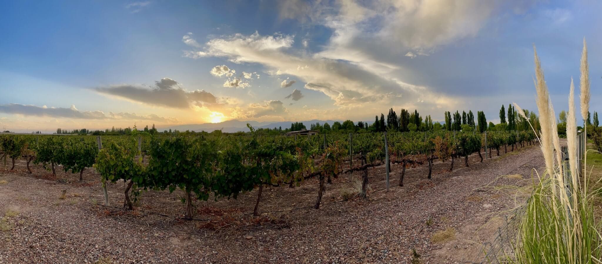mendoza-goholidate-reiseblog-weinreise-gay mendoza-goholidate-reiseblog-weinreise-gay