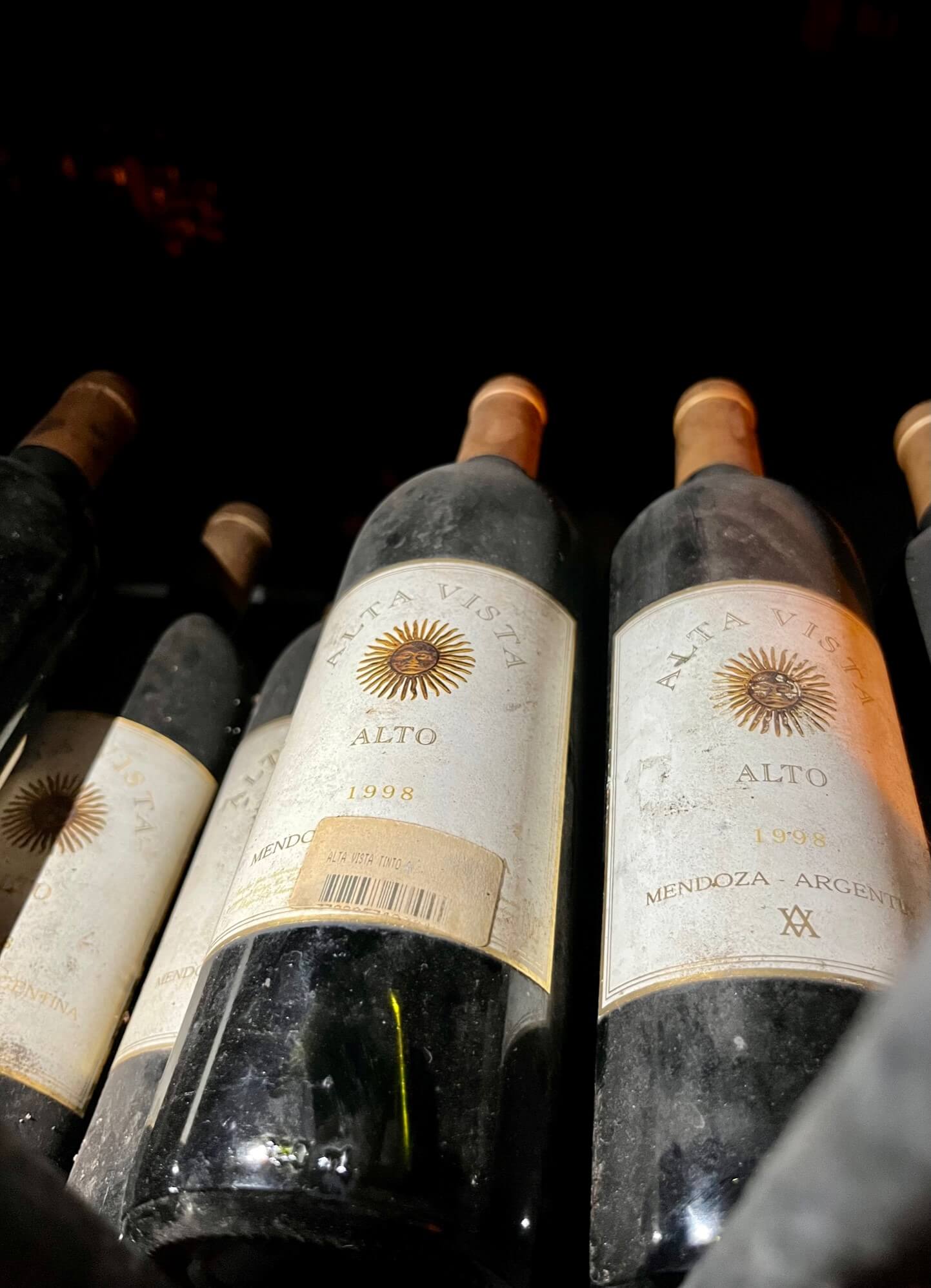 mendoza-wein-region-gay-urlaub-reiseblog mendoza-wein-region-gay-urlaub-reiseblog