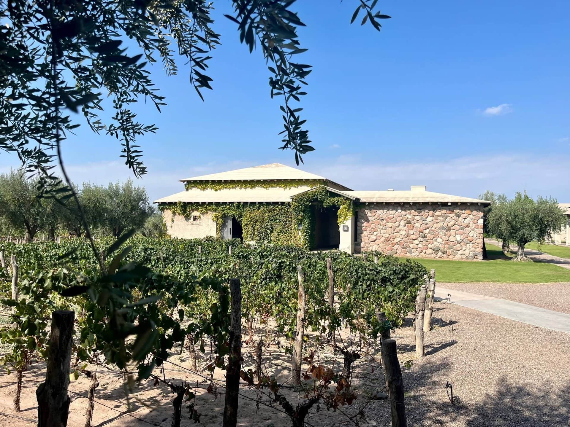 argentinien-mendoza-wein-urlaub-gay-reise argentinien-mendoza-wein-urlaub-gay-reise