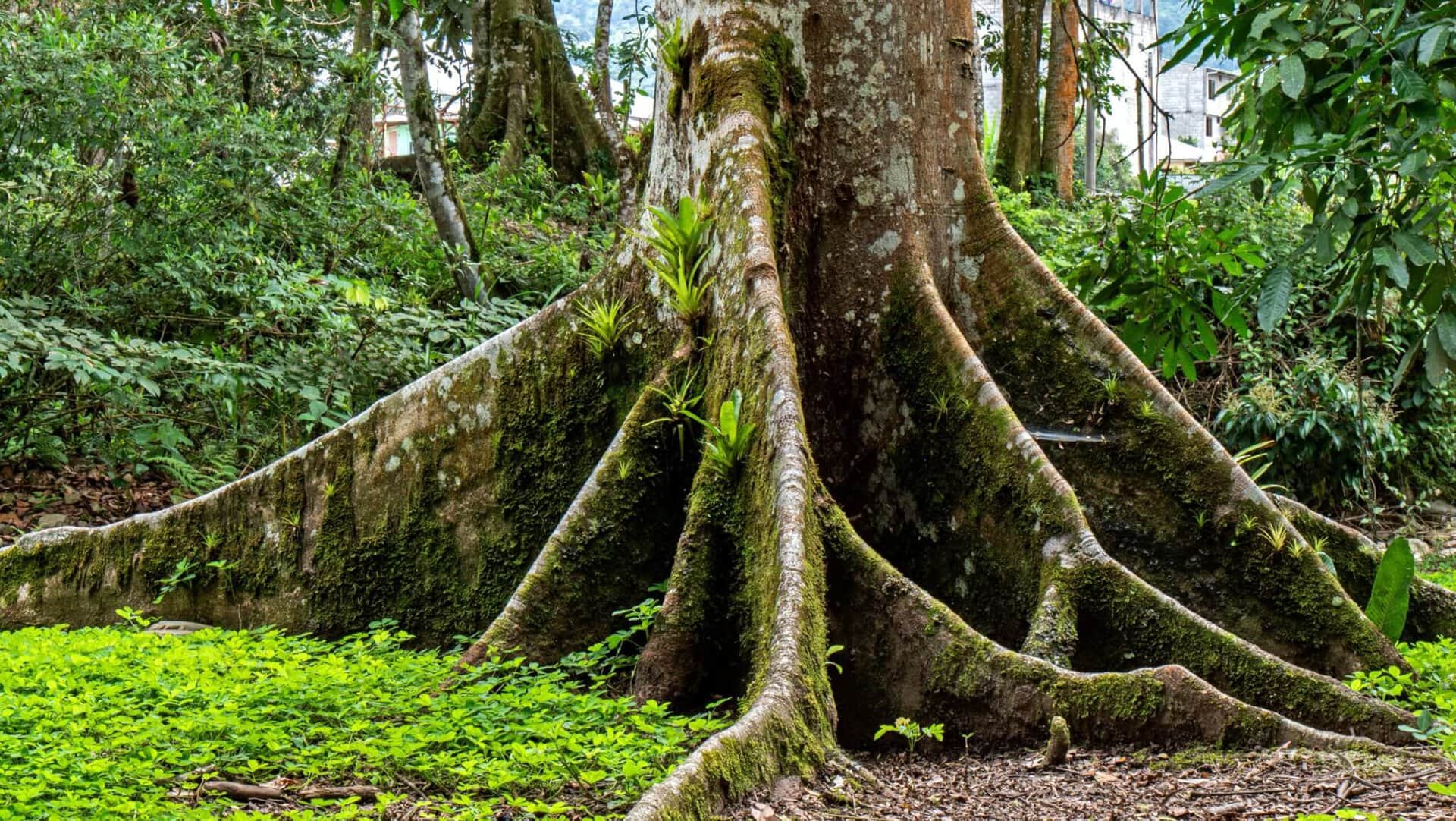 galapagos-ecuador-gay-reise-lgbtqi+-cruise