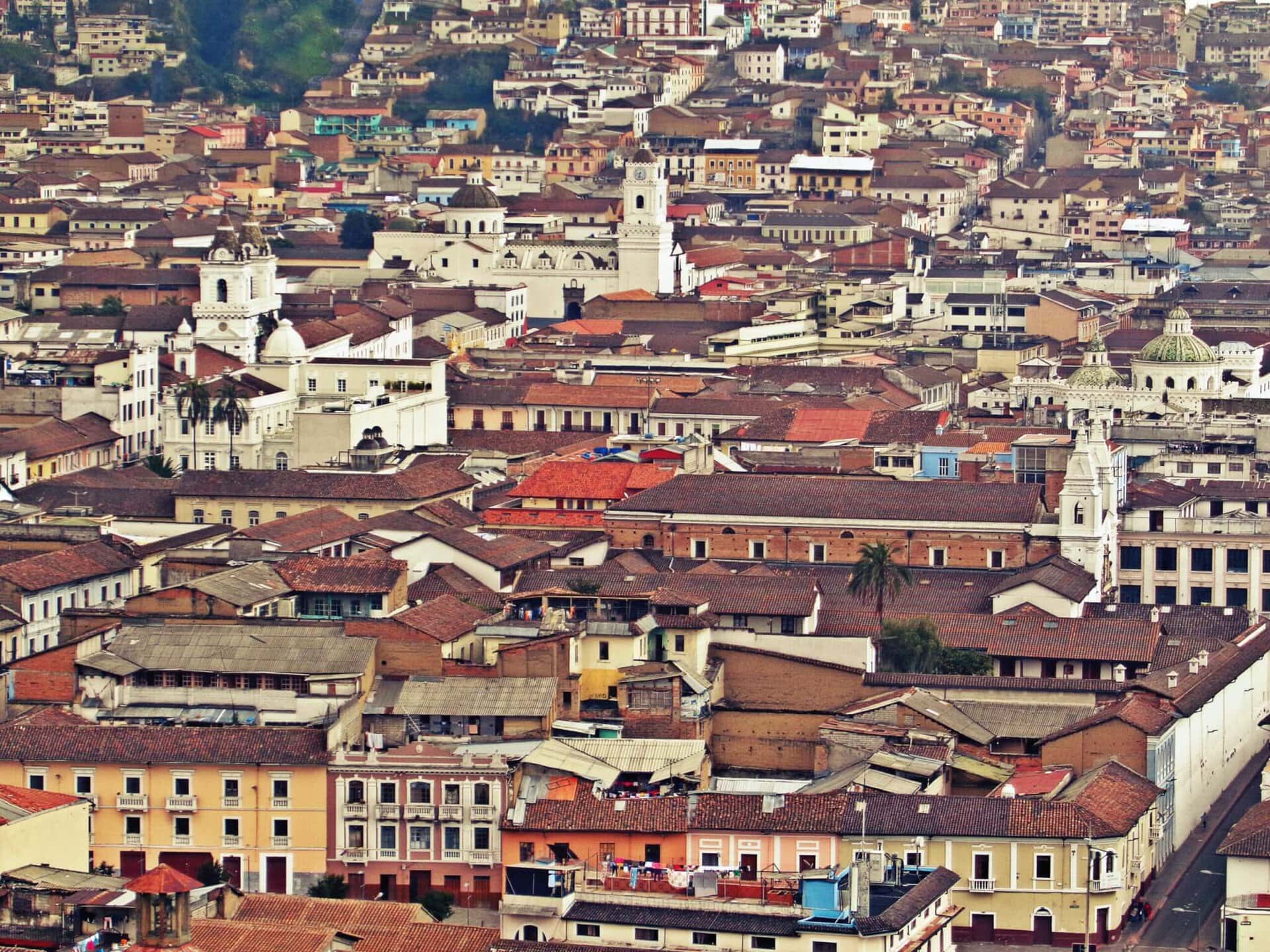 urlaub-quito-lqbtqi+-cruise-ecuador-gay