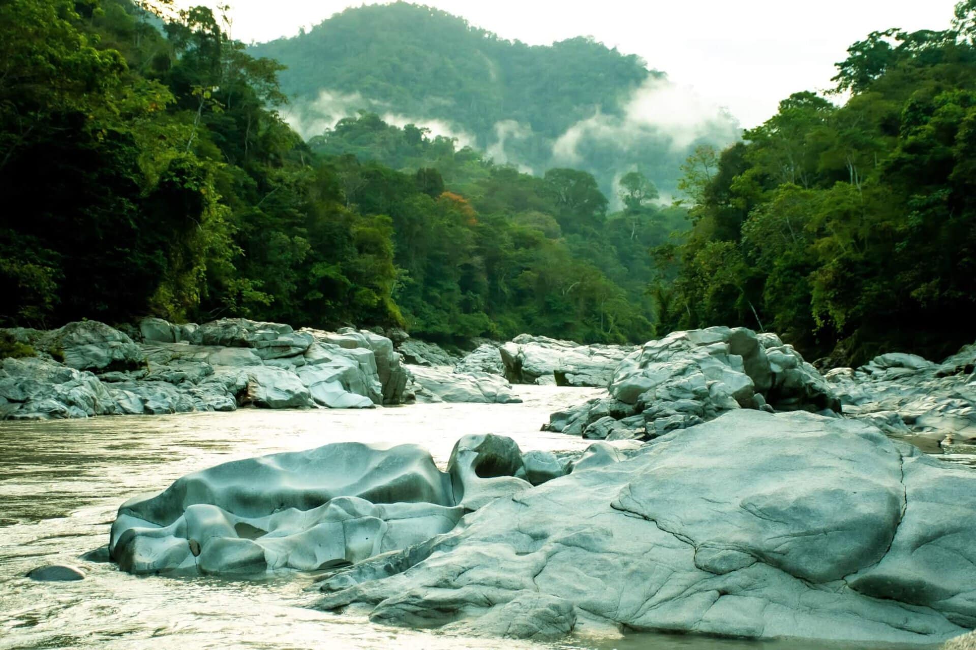ecuador-regenwald-rafting-gay-cruise-lgbtqi+