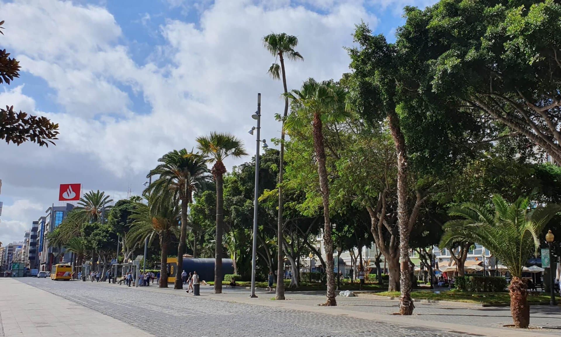 gran-canaria-city-sonne-palmen-gay-urlaub-mietwagen-las-palmas mietwagen-las-palmas-gran-canaria-city-sonne-palmen-gay-urlaub