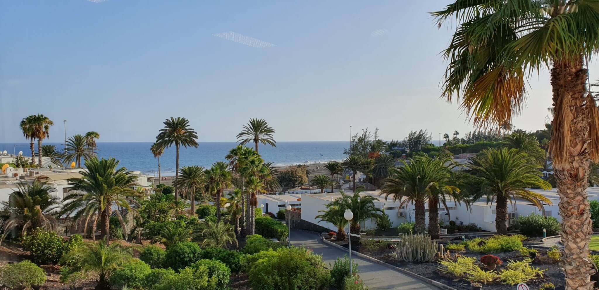 gay-reise-urlaub-strand-palmen-gran-canaria-maspalomas-san-agustin gran-canaria-maspalomas-gay-reise-urlaub-strand-palmen