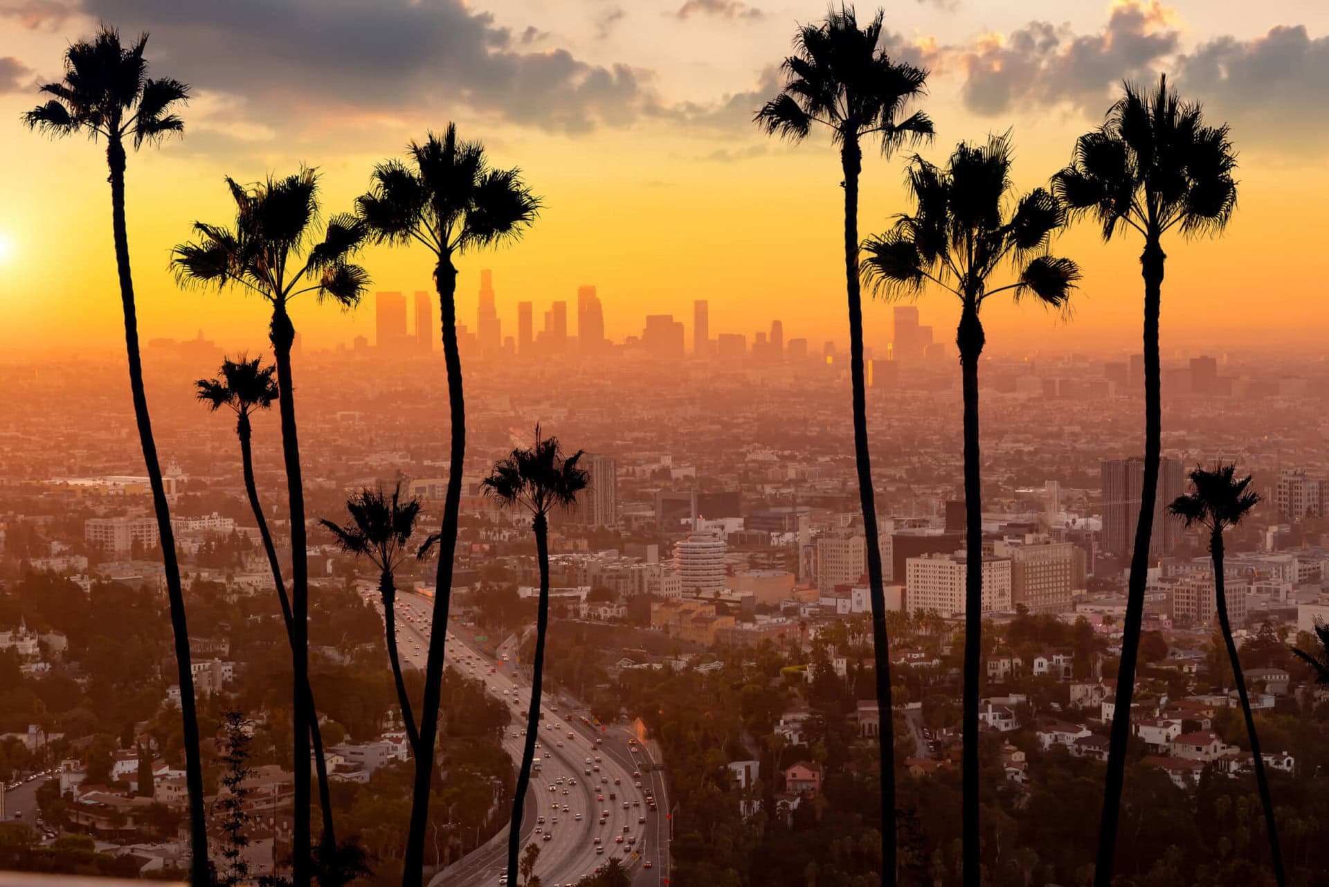urlaub-downtown-sonnenuntergang-gay-prides-los-angeles-kalifornien-palmen-skyline-lgbtqi lgbtqi+-urlaub-downtown-sonnenuntergang-gay-prides-los-angeles-kalifornien-palmen-skyline