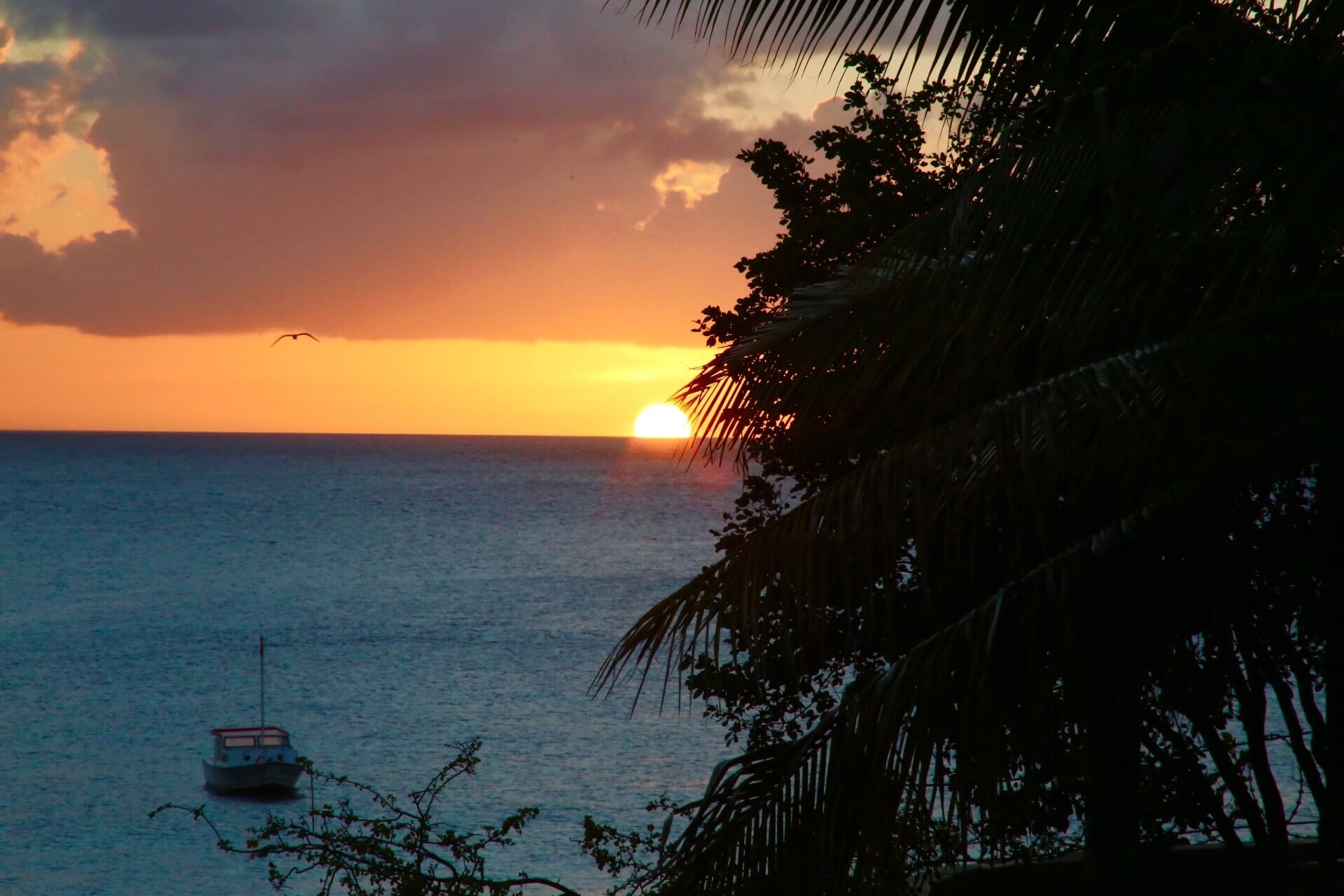 meer-karibik-gay-strand-urlaub-curacao-sonnenuntergang meer-karibik-gay-strand-urlaub-curacao