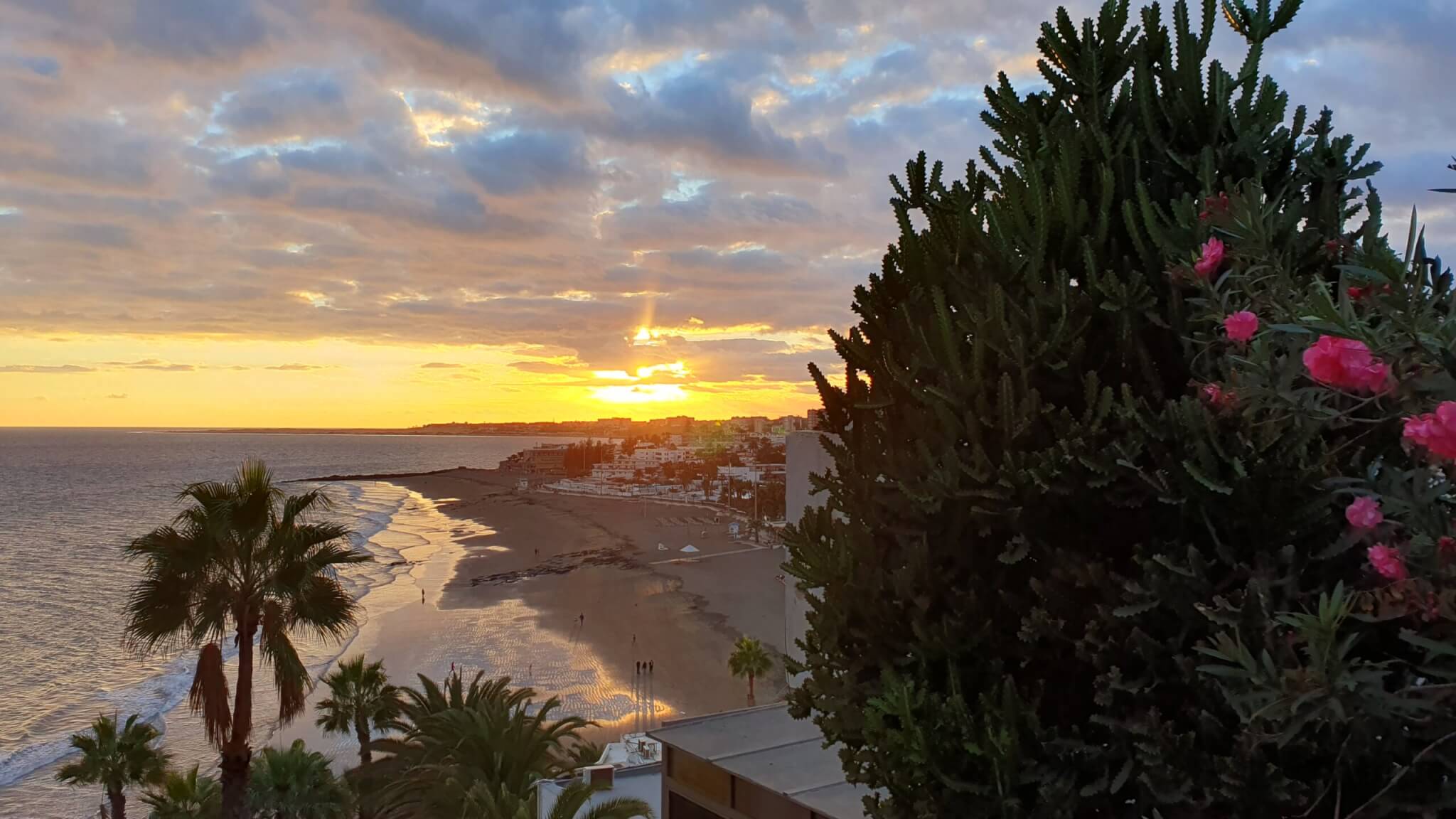 gran-canaria-mietwagen-gay-reise-urlaub-palmen-sonne-lgbtqia-strand lgbtqia-strand-gran-canaria-mietwagen-gay-reise-urlaub-palmen-sonne