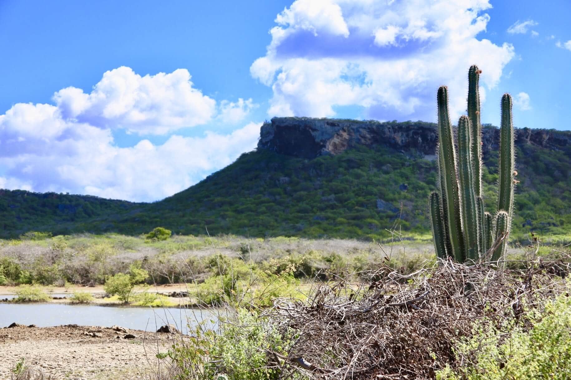 curacao-gay-karibik-urlaub-pride-wildnis curacao-gay-wildnis-karibik-urlaub-pride