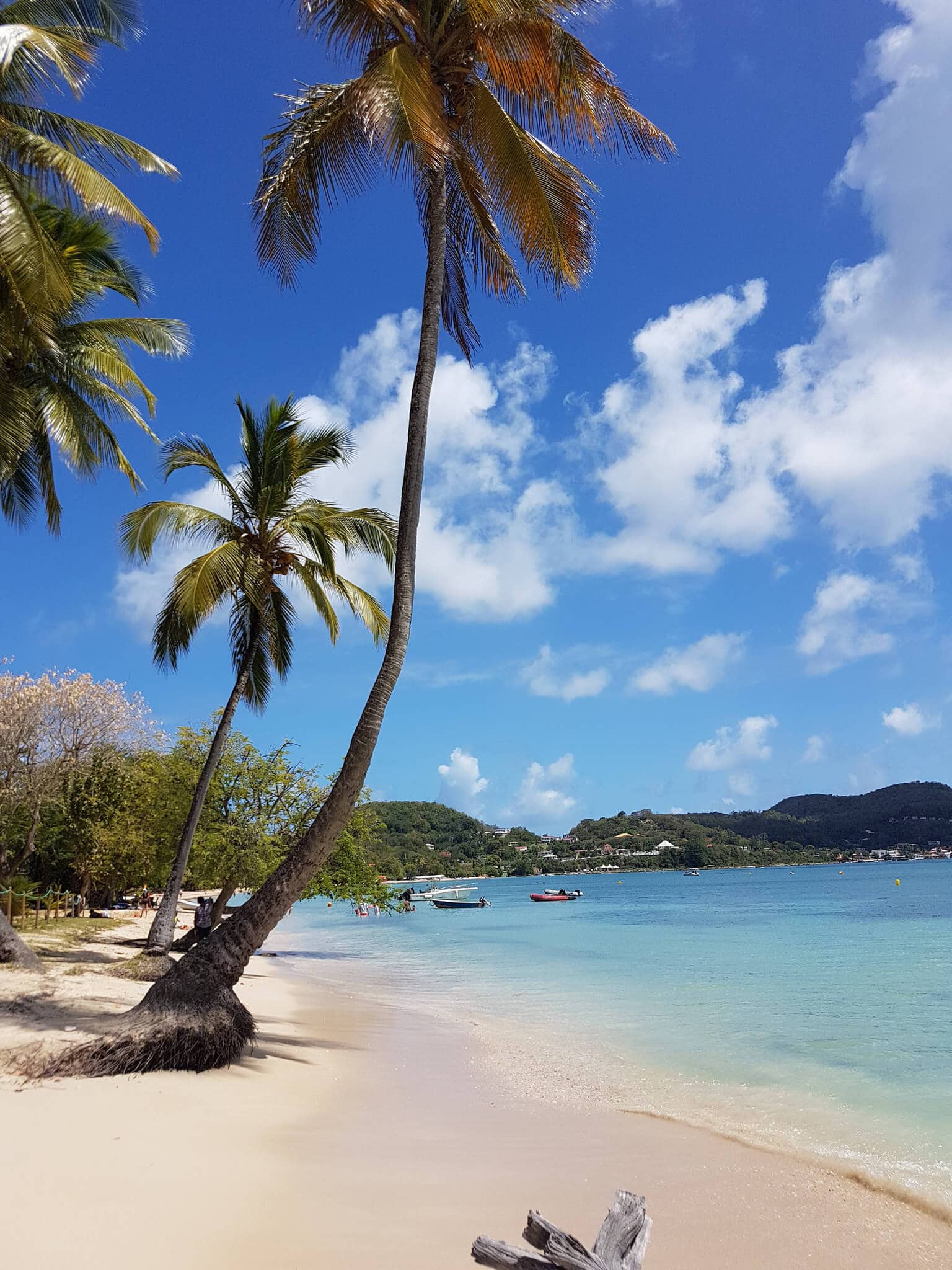 gay-reiseblog-martinique-reise-karibik-lgbtqia+-urlaub-sonne-strand-meer-insel-antillen antillen-gay-reiseblog-martinique-reise-karibik-lgbtqia+-urlaub-sonne-strand-meer-insel