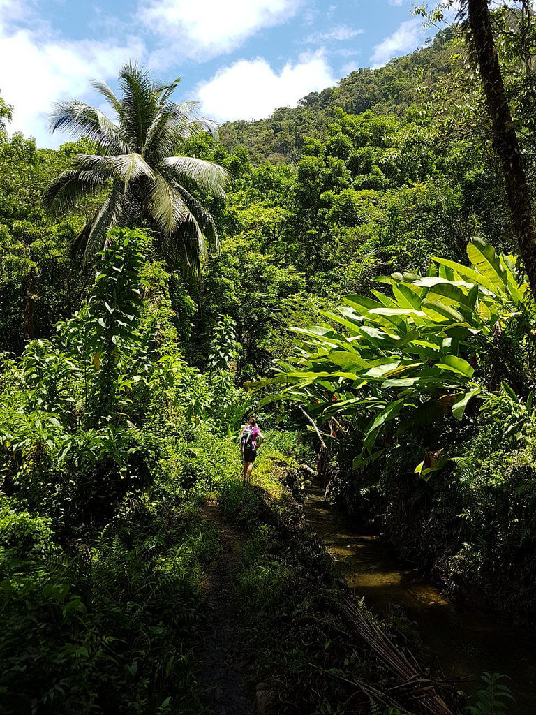gay-reiseblog-martinique-reise-karibik-lgbtqia+-urlaub-sonne-strand-meer-insel-antillen antillen-gay-reiseblog-martinique-reise-karibik-lgbtqia+-urlaub-sonne-strand-meer-insel