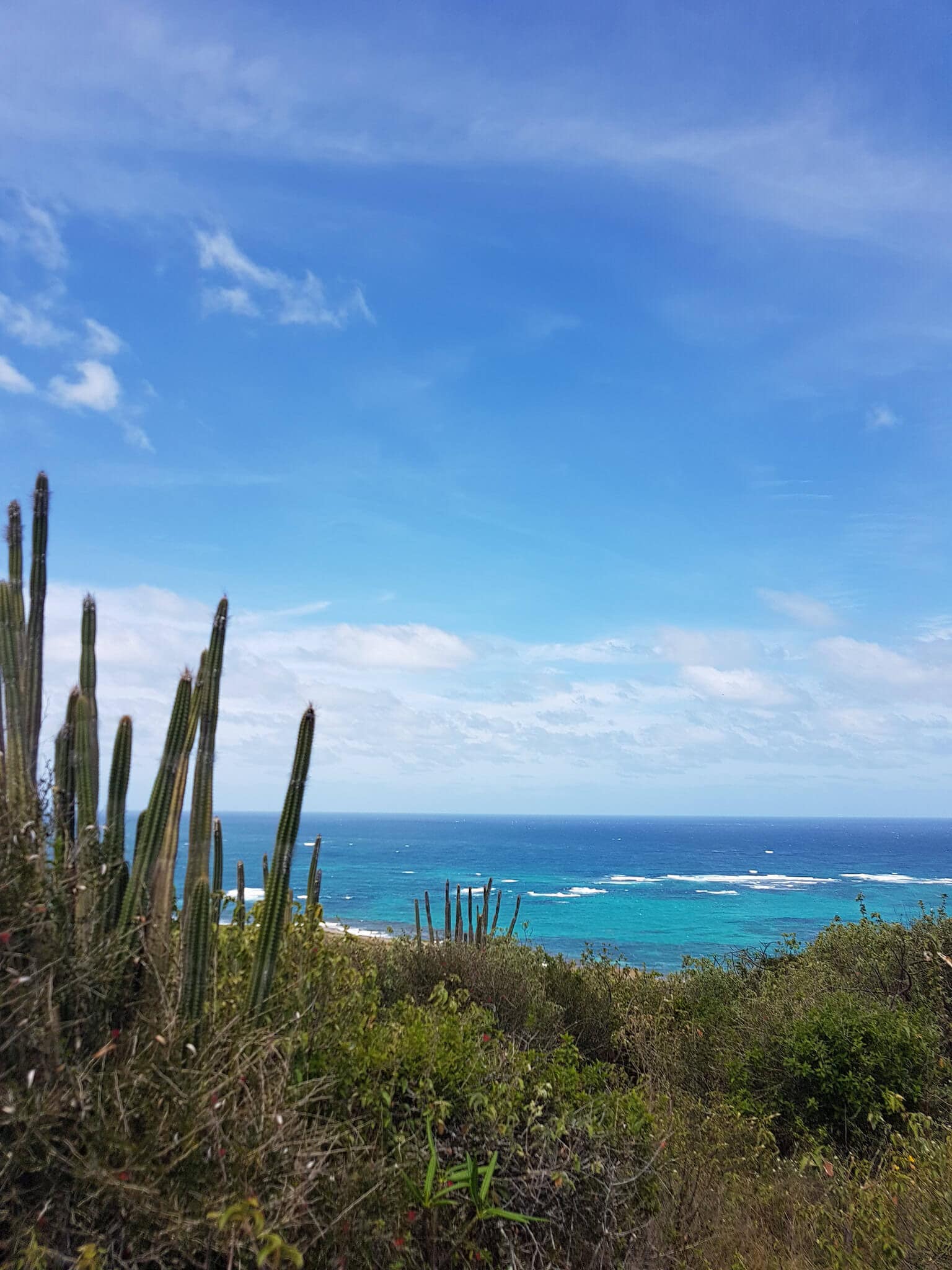 gay-reiseblog-martinique-reise-karibik-lgbtqia+-urlaub-sonne-strand-meer-insel-antillen antillen-gay-reiseblog-martinique-reise-karibik-lgbtqia+-urlaub-sonne-strand-meer-insel