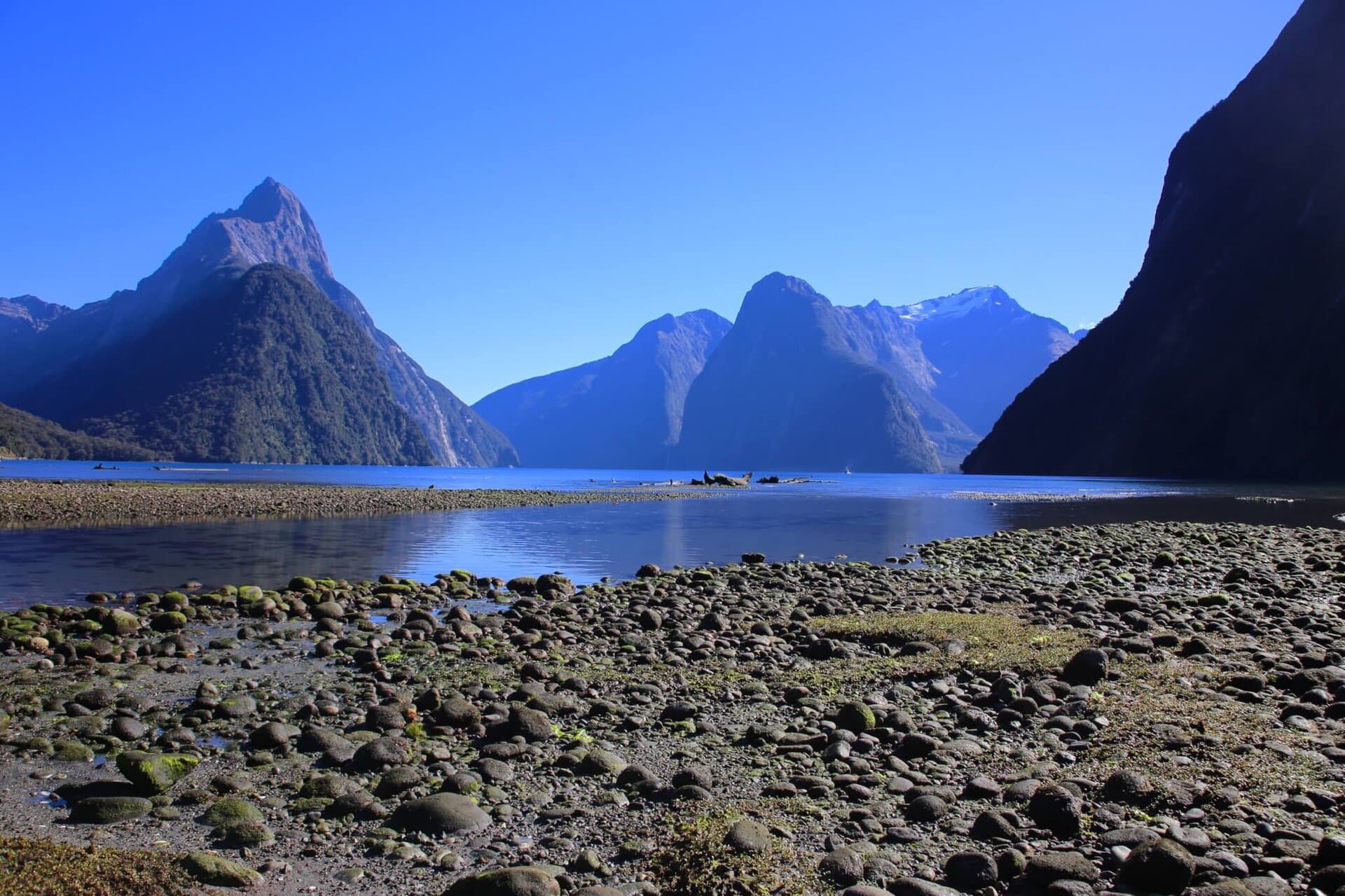 gay-reiseblog-neuseeland-reise-lgbtqia+-urlaub-inseln-strand-surfer-meer-natur-landschaften-südwestpazifik südwestpazifik-gay-reiseblog-neuseeland-reise-lgbtqia+-urlaub-inseln-strand-surfer-meer-natur-landschaften