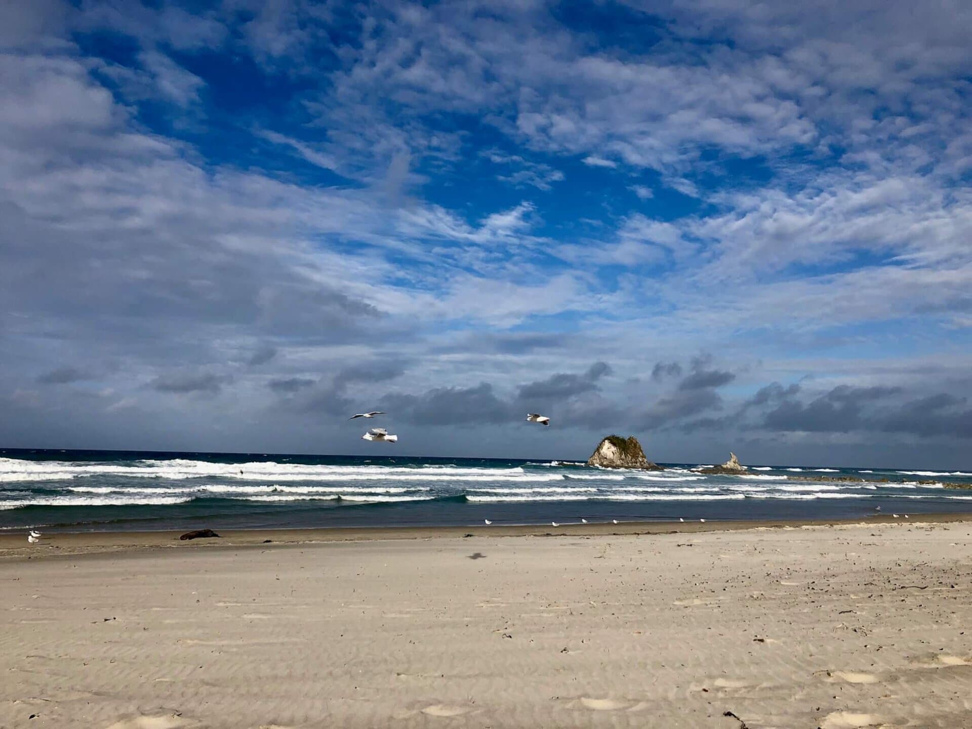 gay-reiseblog-neuseeland-reise-lgbtqia+-urlaub-inseln-strand-surfer-meer-natur-landschaften-südwestpazifik südwestpazifik-gay-reiseblog-neuseeland-reise-lgbtqia+-urlaub-inseln-strand-surfer-meer-natur-landschaften