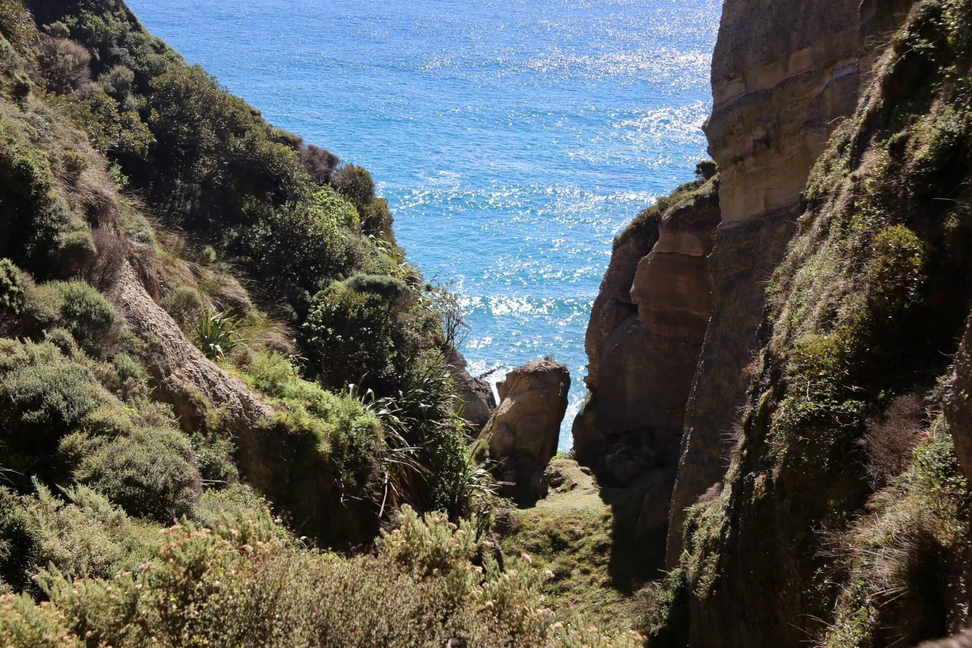 gay-reiseblog-neuseeland-reise-lgbtqia+-urlaub-inseln-strand-surfer-meer-natur-landschaften-südwestpazifik südwestpazifik-gay-reiseblog-neuseeland-reise-lgbtqia+-urlaub-inseln-strand-surfer-meer-natur-landschaften