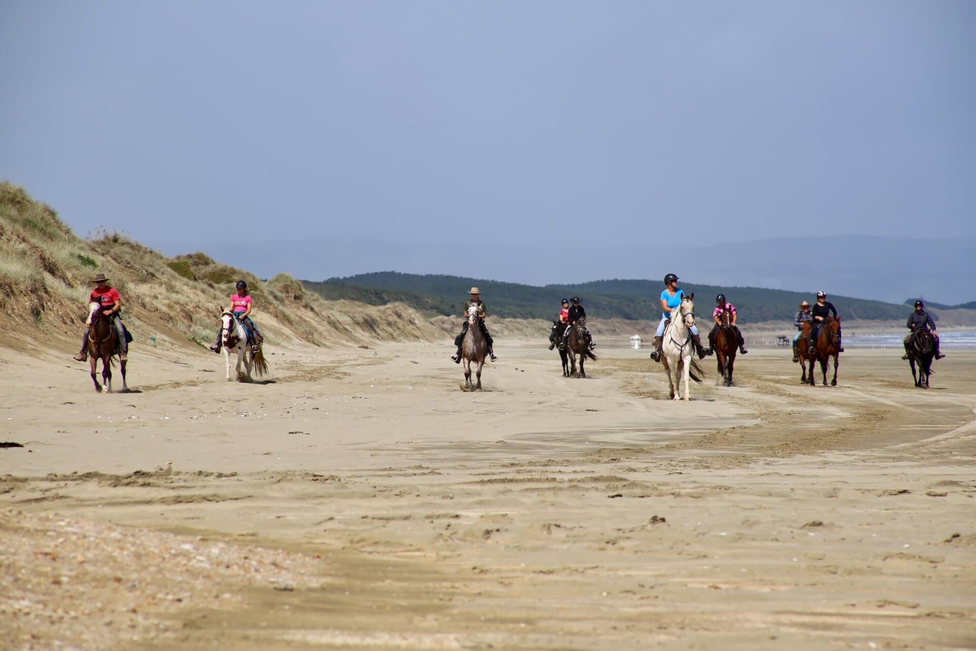 gay-reiseblog-neuseeland-reise-lgbtqia+-urlaub-inseln-strand-surfer-meer-natur-landschaften-südwestpazifik südwestpazifik-gay-reiseblog-neuseeland-reise-lgbtqia+-urlaub-inseln-strand-surfer-meer-natur-landschaften