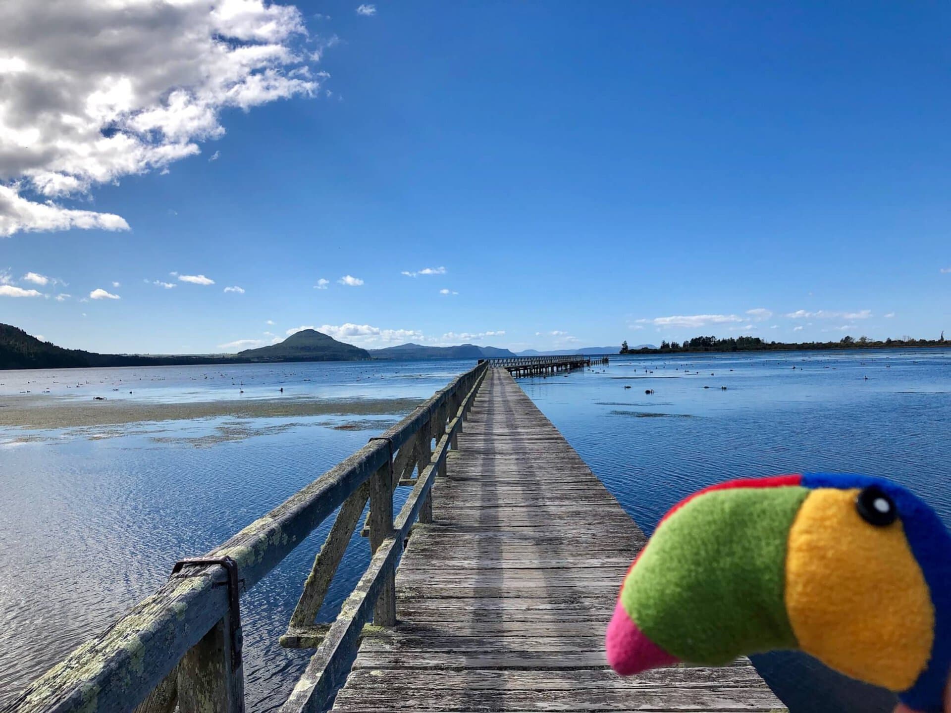 gay-reiseblog-neuseeland-reise-lgbtqia+-urlaub-inseln-strand-surfer-meer-natur-landschaften-südwestpazifik südwestpazifik-gay-reiseblog-neuseeland-reise-lgbtqia+-urlaub-inseln-strand-surfer-meer-natur-landschaften