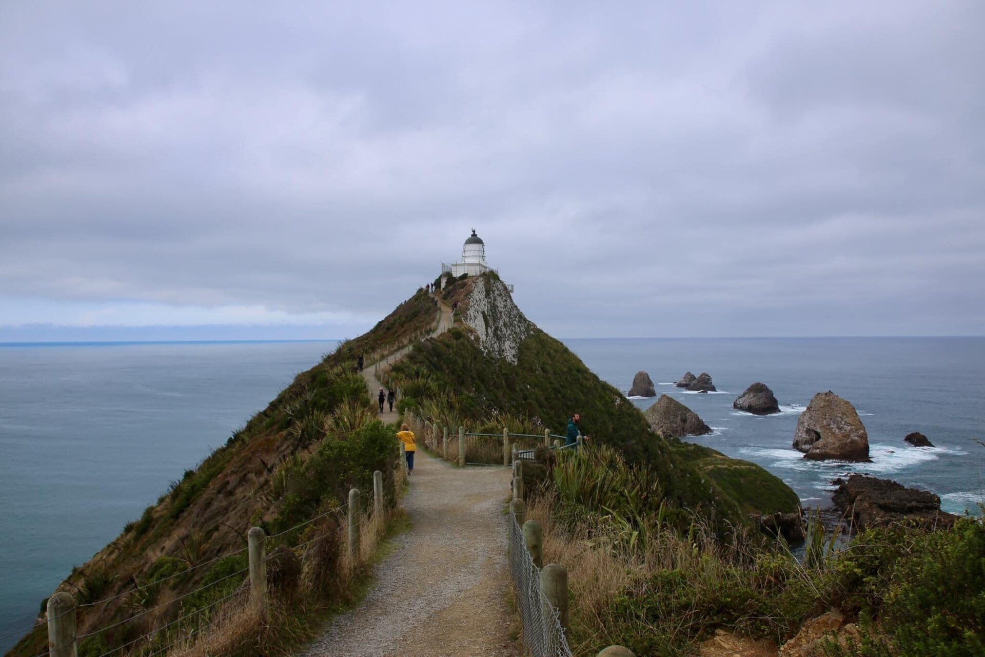 gay-reiseblog-neuseeland-reise-lgbtqia+-urlaub-inseln-strand-surfer-meer-natur-landschaften-südwestpazifik südwestpazifik-gay-reiseblog-neuseeland-reise-lgbtqia+-urlaub-inseln-strand-surfer-meer-natur-landschaften